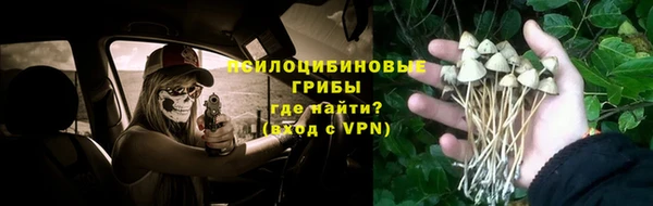 скорость mdpv Горнозаводск